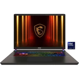 MSI Vector 17 HX A2XWHG-041 Intel Core Ultra 9 275HX 32 GB RAM 2 TB SSD RTX 5070 Ti