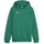 Puma teamGOAL Casuals Hoodie Jungen 05 sport green/white 152