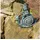 esotec Wasserspeier Frosch sitzt auf Schnecke