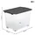 Rotho Aufbewahrungsbox Evo Safe Keeping 59,0 x 39,5 x 41,2 cm 1-tlg. grau