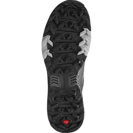 Salomon X Ultra 4 Gore-Tex Herren magnet/black/monument 46 2/3