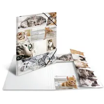 Herma Sammelmappe Tiere A3 katzen