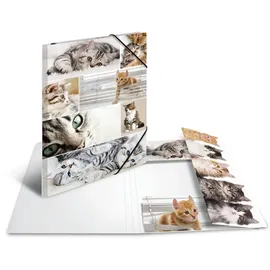 Herma Sammelmappe Tiere A3 katzen