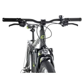 Ciclista Adventure 29 Disc 48 cm 29 Zoll bizzgreen-matt Black Apple