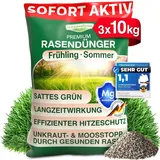 düngemeister Rasendünger für Ihren sattgrünsten Traumrasen - gesunder, dichter und sattgrüner Rasen sofort mit revolutionärer KI Formel - Lan...