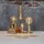 Star Trading LED-Birne Plain Amber 355-70-1 0,75 W E27 warmweiß 1 St.