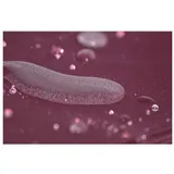 habeig Ersatzdach PVC Beschichtung Pavillondach Wasserdicht Pavillon knapp 3x3m NEU (Bordeaux)