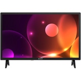 Sharp 24FA2E 24" HD LED