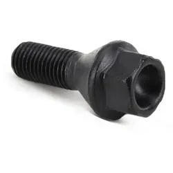 AIC Radbolzen 54534