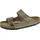 taupe 43