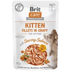 BRIT CARE Cat Kitten Fillets in Bratensoße mit herzhaftem Lachs, angereichert mit Sanddorn und Kapuzinerkresse 6x85g