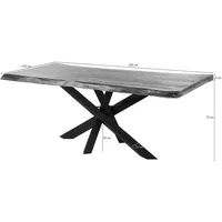 MASSIVMOEBEL24.DE Baumtisch Mango 200x100x79 natur lackiert / Mikado-Beine anthrazit