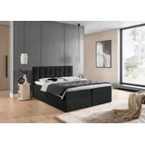 Fun Möbel Dominga Premium 200 x 220 cm Schwarz