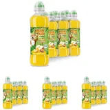 FruchtTiger Bio Orange-Maracuja (6 x 0,33l) - reiner Saft und stilles Wasser, ohne Zuckerzusatz und Süßungsmittel, Bio-Qualität, fruchtig & natürlich, ideal für unterwegs (Packung mit 4)