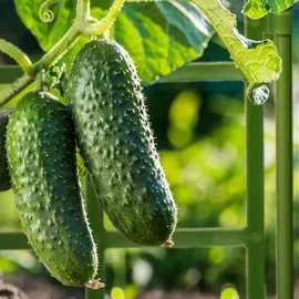 Relaxdays Rankgitter 3er Set 124 x 14,5 cm Grün