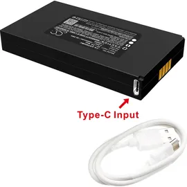 Techtek L1000D 10000 mAh 1 St.