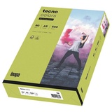 Inapa tecno Druckerpapier Rainbow, Intensivfarben, Format DIN A5, 80 g/m2 grün