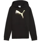 Puma Hoodie Black-metallic Gold 128