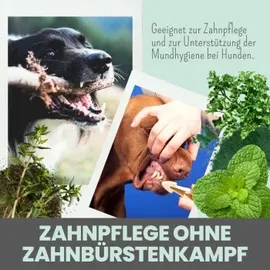noms+ Dentalmix Zahnpflege 150 g
