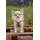 Curli Apple Hundehalsband Braun 2XS