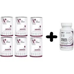 VETEXPERT Veterinary Diät Hepatische Hund 6x400g + LAB-V Hepato Protect 45 Kapseln