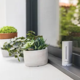 Netatmo Wetterstation für Smartphone