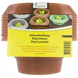 andermatt SchneckenStopp PP, Pack mit 12 Stück, braun