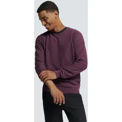 Rundhalspullover NO EXCESS "No Excess", Herren, Gr. XL, lila (aubergine), 100% Baumwolle, Pullover