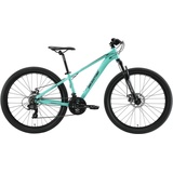 Bikestar Mountainbike, 21 Gang, Shimano, RD-TY300 Schaltwerk, Kettenschaltung, 56783917-36 grün Hardtail