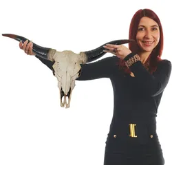 Mendler Deko Schädel 75cm HWC-A14, Polyresin Stier Bulle Longhorn Kopf Trophäe, In-/Outdoor natur