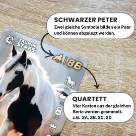 gomazing.de Trumpfstars Pferde und Ponys 3 in 1