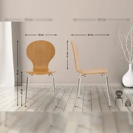 CLP Diego 16 St. eiche