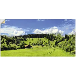 Wandbild ARTLAND "Traumhafte Landschaft im Schwarzwald", grün (farbe bild(er): grün), B:100cm H:50cm, Bilder, als Alubild, Outdoorbild, Leinwandbild, Wandaufkleber, versch. Größen