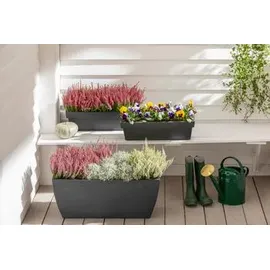 Dehner Blumenkasten Rille 80 x 40 cm Anthrazit