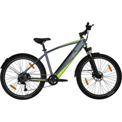 E-Bike SACHSENRAD "R8 Flex III" Gr. 48, grau, E-Bikes, 48cm, 27,5 Zoll (69,85cm), LCD-Steuerdisplay, Fahrmodus Pedelec, LED- Beleuchtung