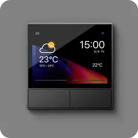 Sonoff NSPanel Smart Scene Wall Switch, Schaltaktor mit Display und Touchpanel, WiFi, Wandschalter graphite