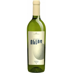 Atlas Offida DOCG 2022, Bio Weisswein, Biowein