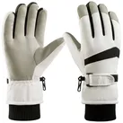 BTTO Skihandschuhe Fahrrad Handschuhe Skihandschuhe für Männer und Frauen im Winter Winterhandschuhe Ski Wasserdicht