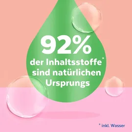 Sagrotan No-Touch Nachfüller Cashmere & Rose 5 x 250 ml