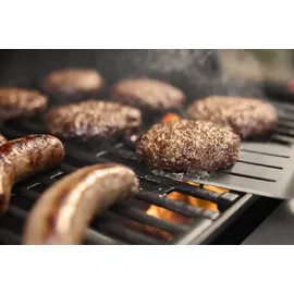 Weber Spirit E-310 schwarz 1500862