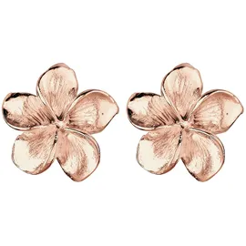 Elli Ohrstecker Frangipani Blüte roségold 925 Sterling Silber onesize