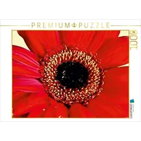 Calvendo Rote Gerbera Puzzle