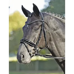 Busse Trense LUXURY