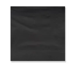 Karton 60 Stück. Papierservietten 20x20 2 Lagen – Farbe – Schwarz