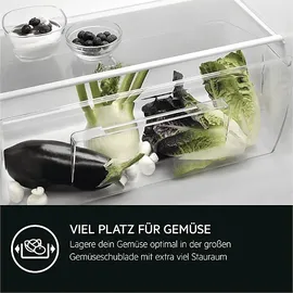 AEG TF5OS882ES Einbaukühlschrank (124 l, 880 mm hoch)