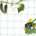 Relaxdays Ranknetz, 200 x 1000 cm, grün