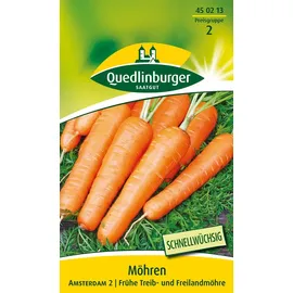 Quedlinburger Saatgut | Möhren Amsterdam 2 Samen