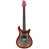 PRS SE Custom 24 CG - E-Gitarre
