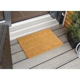 Astra 40 x 60 cm Braun