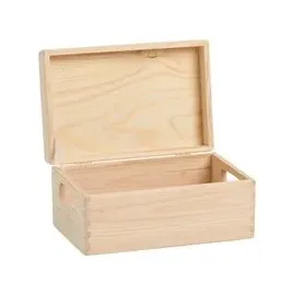 Zeller Allzweckkiste 30 x 20 x 14 cm 1-tlg. braun